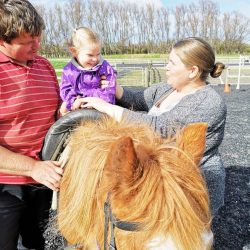 Waikato Equitherapy Incorporated